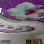 Фото потолка с цветами